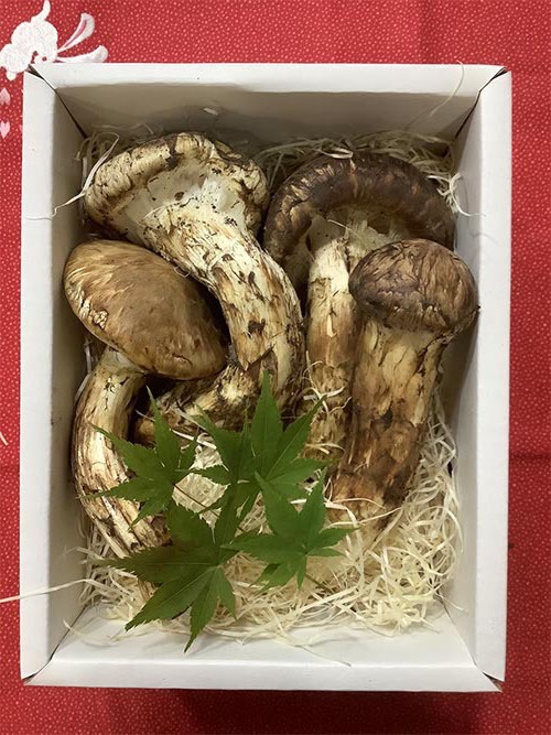慶の写真