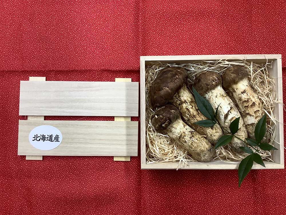 松茸の竹の写真
